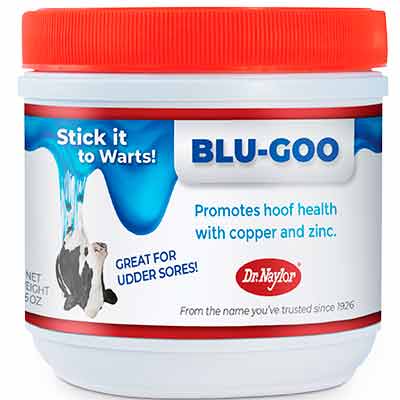 free dr naylor blu goo hoof gel sample - Free Dr. Naylor Blu-Goo Hoof Gel Sample
