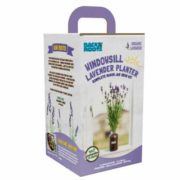 free windowsill lavender planter complete grow kit 180x180 - Free Windowsill Lavender Planter Complete Grow Kit