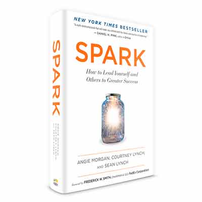 free copy of the book spark - Free copy of the book SPARK