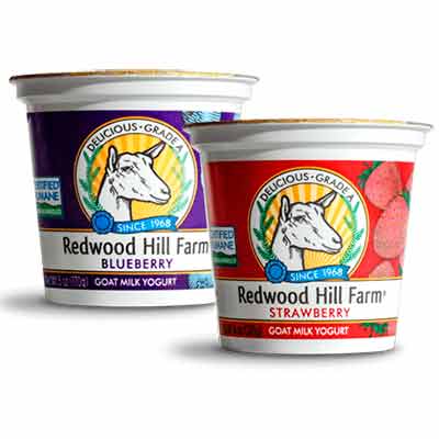 free cup of redwood hill yogurt - FREE Cup of Redwood Hill Yogurt