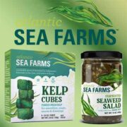 free jar of fermented seaweed salad pack of kelp cubes 180x180 - FREE Jar of Fermented Seaweed Salad and Pack of Kelp Cubes