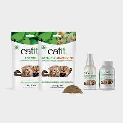 free catit catnip products - FREE Catit Catnip Products