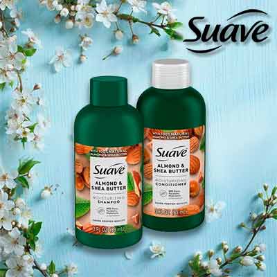 free suave almond shea butter moisturizing shampoo and conditioner samples - FREE Suave Almond & Shea Butter Moisturizing Shampoo and Conditioner Samples
