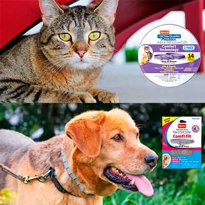 free hartz flea tick collars for dogs or cats - FREE Hartz Flea & Tick Collars for Dogs or Cats