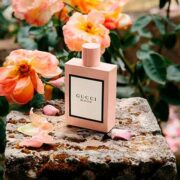 free gucci bloom fragrance sample 180x180 - FREE Gucci Bloom Fragrance Sample