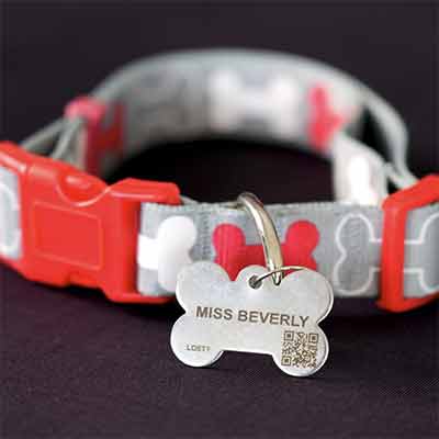 free fido id tag engraved with your pets name - FREE Fido ID Tag Engraved With Your Pet’s Name