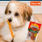 free hartz dog treat samples 180x180 - FREE Hartz Dog Treat Samples