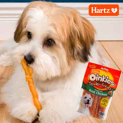 free hartz dog treat samples - FREE Hartz Dog Treat Samples