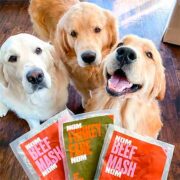 free nom nom fresh frozen dog food 180x180 - FREE Nom Nom Fresh Frozen Dog Food