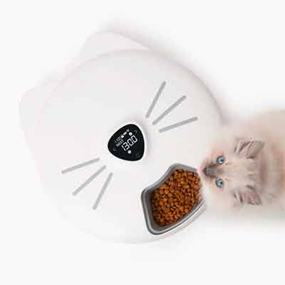 free catit pixi smart 6 meal feeder - FREE Catit PIXI Smart 6-meal Feeder