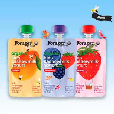free forager project organic kids cashewmilk yogurt - FREE Forager Project Organic Kids Cashewmilk Yogurt