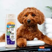 free hartz ultraguard pro triple active flea tick dog shampoo 180x180 - FREE Hartz UltraGuard Pro Triple Active Flea & Tick Dog Shampoo