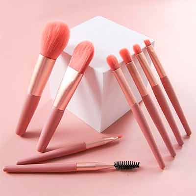 free makeup brush set - FREE Makeup Brush Set