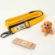free canroo 100 handmade handle coloration safety buckle leash for pets 180x180 - FREE Canroo 100 Handmade Handle Coloration Safety Buckle Leash For Pets