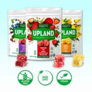 free upland superfood snacks 180x180 - FREE Upland Superfood Snacks