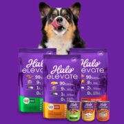 free halo elevate dry dog food 180x180 - FREE Halo Elevate Dry Dog Food