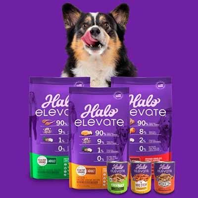 free halo elevate dry dog food - FREE Halo Elevate Dry Dog Food