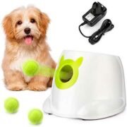 free dog accessories 180x180 - FREE Dog Accessories
