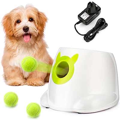 free dog accessories - FREE Dog Accessories