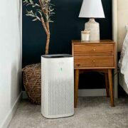free clorox alexa smart large room air purifier 180x180 - FREE Clorox Alexa Smart Large Room Air Purifier
