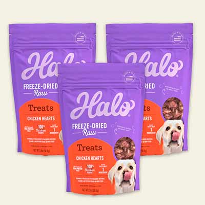 free halo holistic dog food - FREE Halo Holistic Dog Food