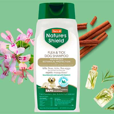 free hartz natures shield flea tick dog shampoo - FREE Hartz Nature's Shield Flea & Tick Dog Shampoo