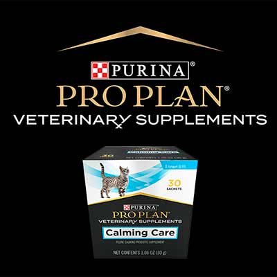 free purina pro plan calming care for cats - FREE Purina Pro Plan Calming Care For Cats