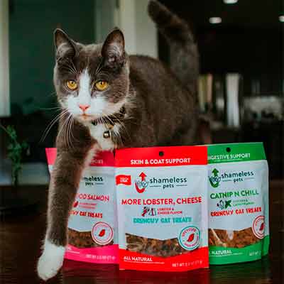 free shameless pets premium cat treats - FREE Shameless Pets Premium Cat Treats