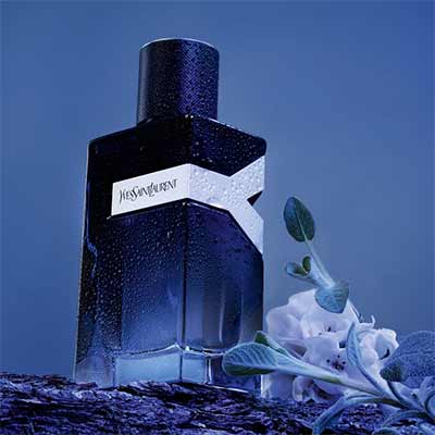 free ysl y eau de parfum sample - FREE YSL Y Eau de Parfum Sample