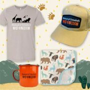 free wild kingdom hat t shirt campfire mug 180x180 - FREE Wild Kingdom Hat, T-Shirt & Campfire Mug