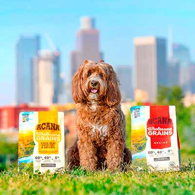 free acana dog food - FREE ACANA Dog Food