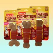 free hartz chompathon dog chew toy 180x180 - FREE Hartz Chompathon Dog Chew Toy