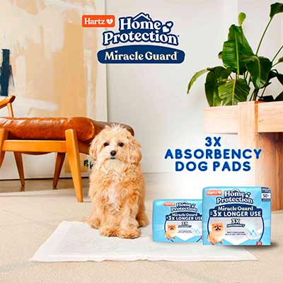 free hartz miracle guard dog pads - FREE Hartz Miracle Guard Dog Pads