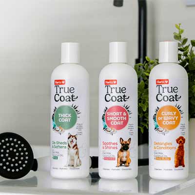 free hartz true coat dog shampoo - FREE Hartz True Coat Dog Shampoo