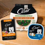 free cesar dog food 180x180 - FREE CESAR Dog Food
