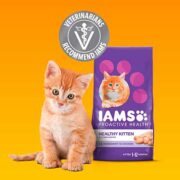 free sample of iams kitten dry food 180x180 - FREE Sample of IAMS Kitten Dry Food