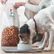 free hills pet nutrition dog food 180x180 - FREE Hill’s Pet Nutrition Dog Food