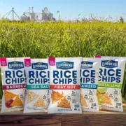 free lundberg family farms rice chips 180x180 - FREE Lundberg Family Farms Rice Chips