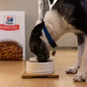 free hills pet wet dog food 180x180 - FREE Hill’s Pet Wet Dog Food