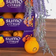 free sumo citrus boxes 180x180 - FREE Sumo Citrus Boxes