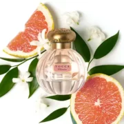 free tocca cleopatra eau de parfum 180x180 - FREE TOCCA Cleopatra Eau de Parfum