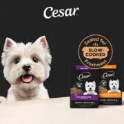 free cesar dog food sample 180x180 - FREE CESAR Dog Food Sample