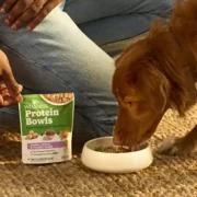 free wellness protein bowls dog food sample 180x180 - FREE Wellness Protein Bowls Dog Food Sample