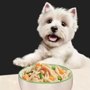 free sample of cesar wet dog food 180x180 - FREE Sample of CESAR Wet Dog Food