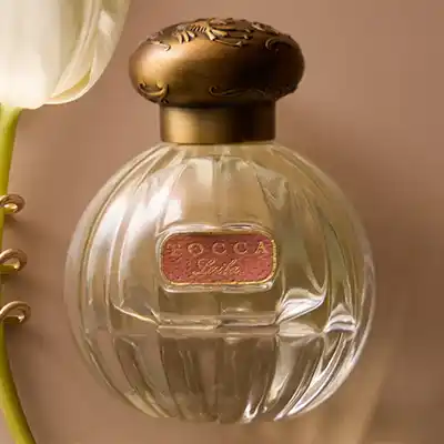 free tocca x aaryah prize pack - FREE TOCCA x AARYAH Prize Pack