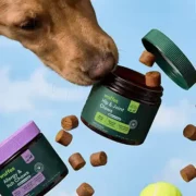 free full size wuffes dog supplements 180x180 - FREE Full-Size Wuffes Dog Supplements