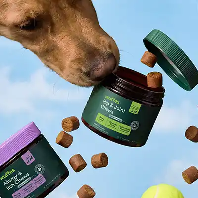 free full size wuffes dog supplements - FREE Full-Size Wuffes Dog Supplements