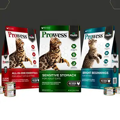 free sample of nulo prowess cat food - FREE Sample of Nulo Prowess Cat Food