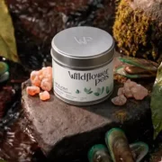 free wildflower pets soft chew supplements 180x180 - FREE Wildflower Pets Soft Chew Supplements
